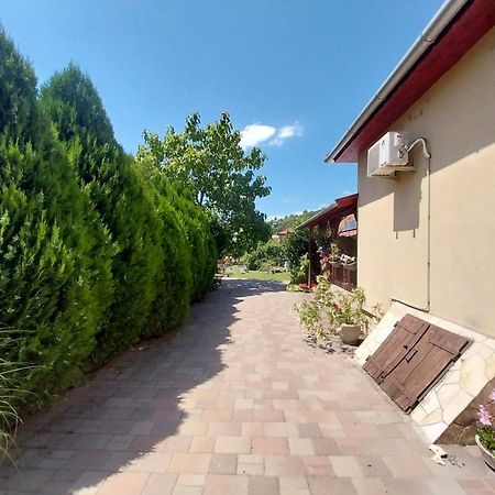Hotel Liptak Vendeghaz Tokaj Exteriér fotografie